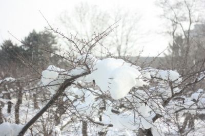 借りぐらし