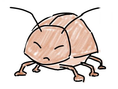 ゴキブリ