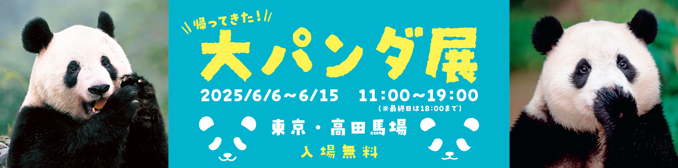 シャンシャン