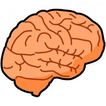 IQ