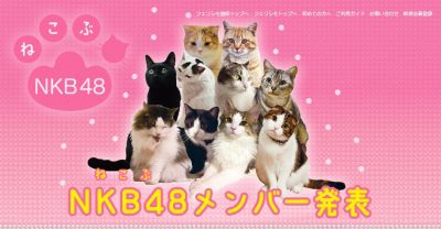 NKB48
